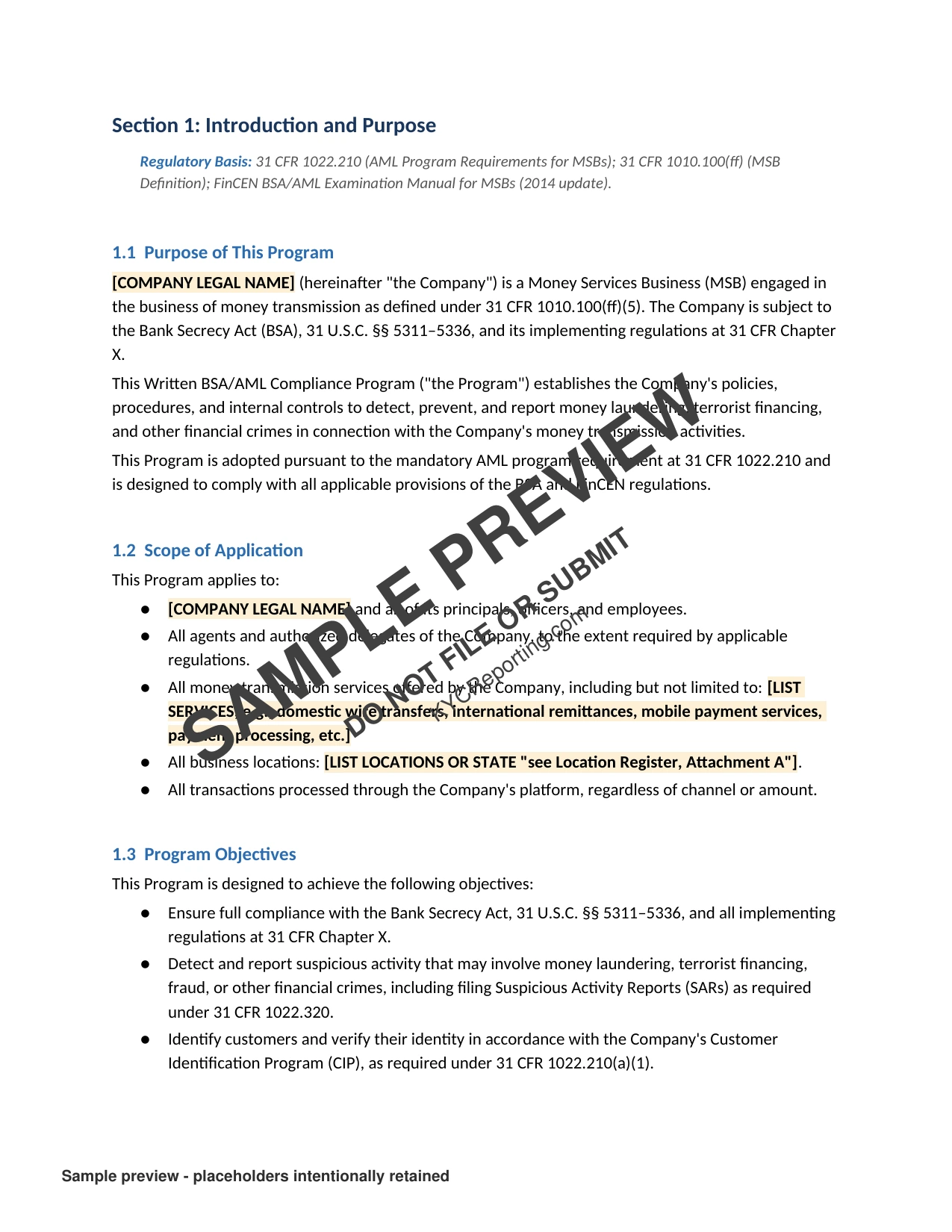 AML compliance template — page 3